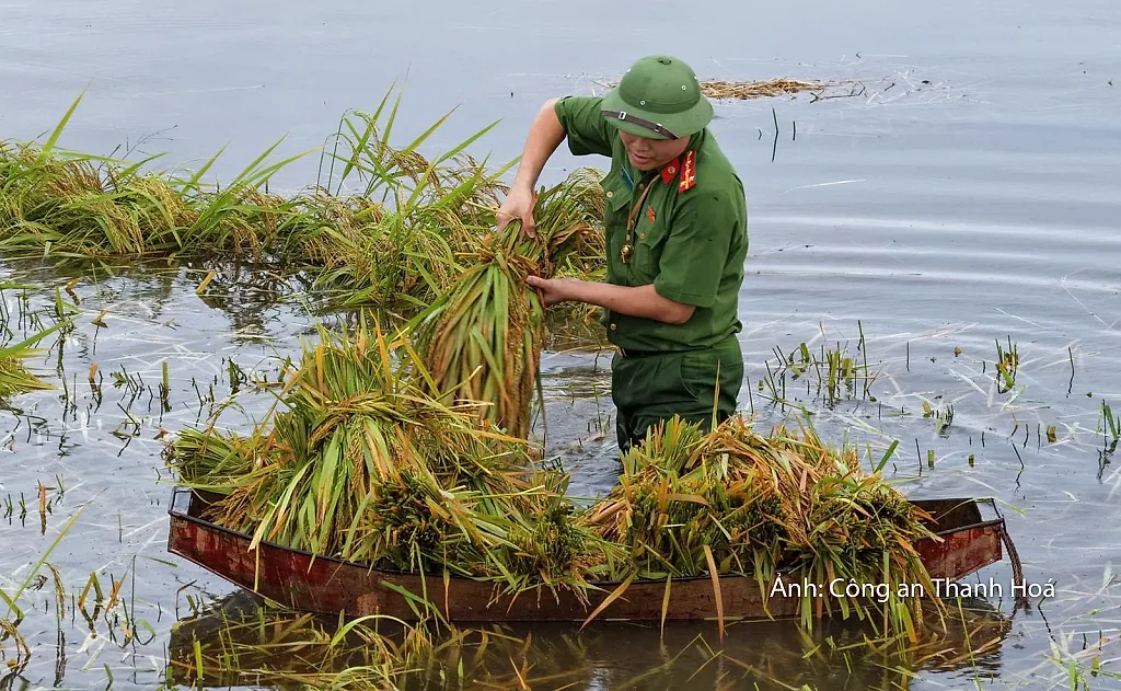 Công an Thanh Hóa giúp dân khắc phục hậu quả sau mưa lũ