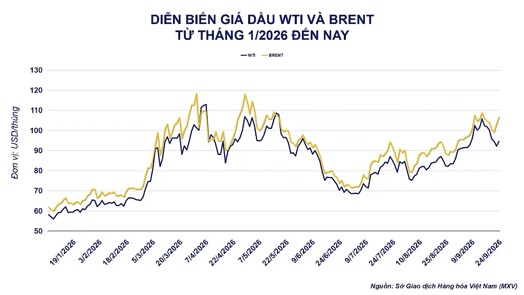 anh-2_-dien-bien-gia-dau-tho-3-.png
