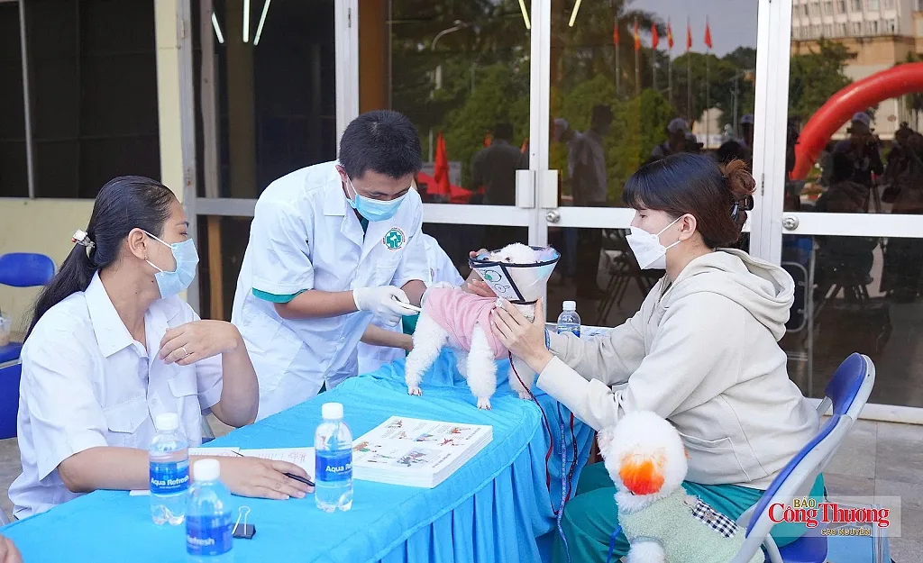 Đắk Lắk tăng cường phòng bệnh dại, hướng tới không còn ca tử vong