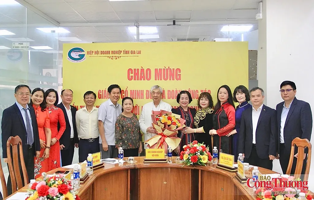 Gia Lai: Kết nối chuyên gia, doanh nghiệp mở rộng dư địa hợp tác quốc tế