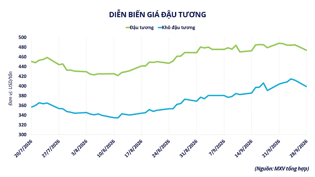 anh-2_-dien-bien-gia-dau-tuong.png
