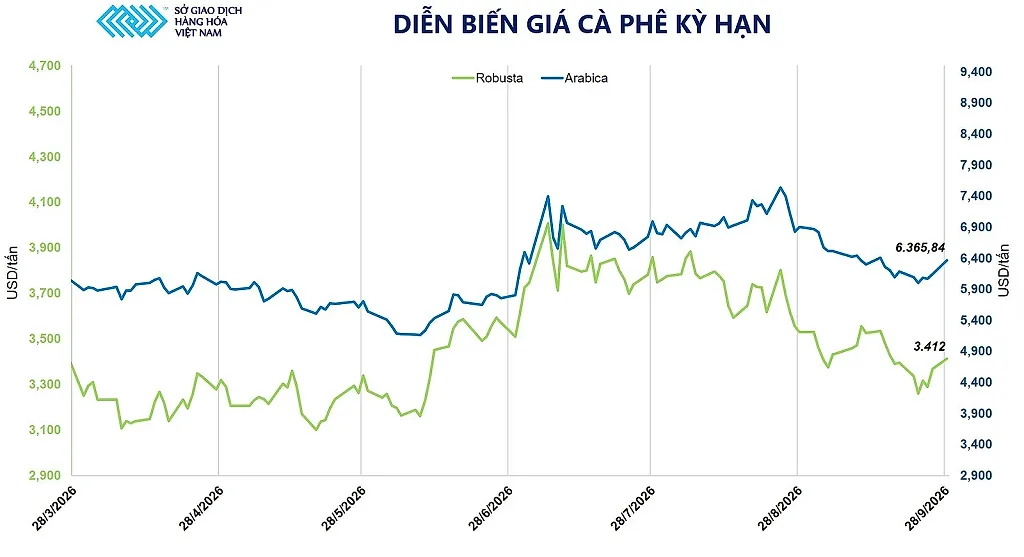 anh-6_-dien-bien-gia-ca-phe-ky-han.jpg