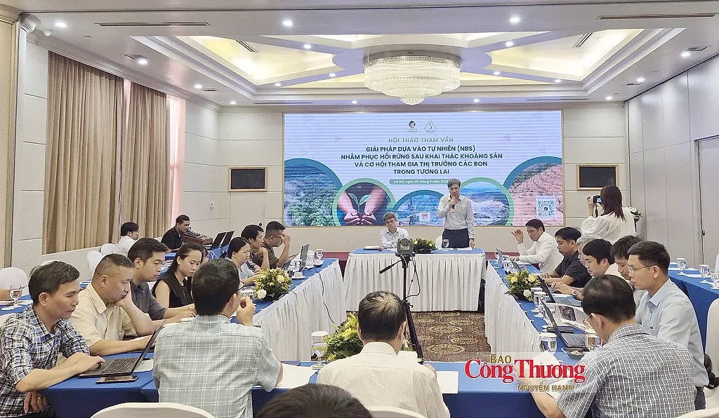 Phục hồi rừng sau khai thác: Cần cách tiếp cận dài hạn