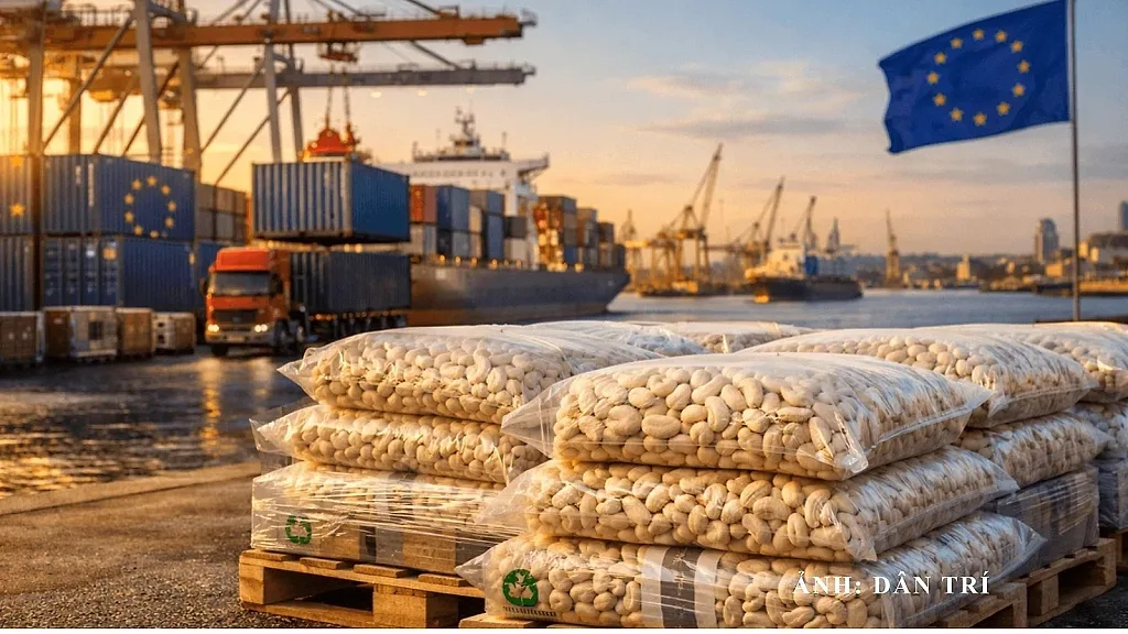 EU siết chặt quy định về tuyên bố môi trường: Những lưu ý cho doanh nghiệp Việt Nam