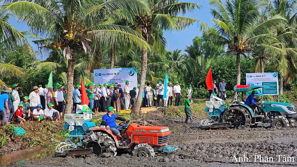 Hiệu quả mô hình lúa - tôm và sức khỏe đất sau mỗi mùa vụ