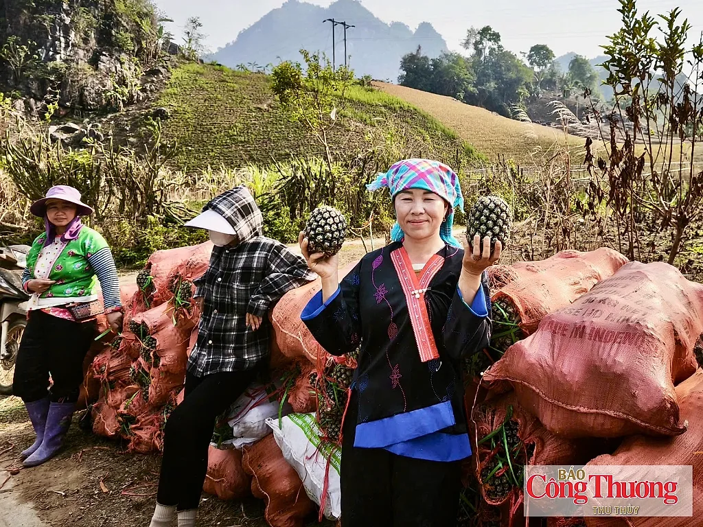 Pú Nhung: Từ đất lửa, xanh những mùa hy vọng