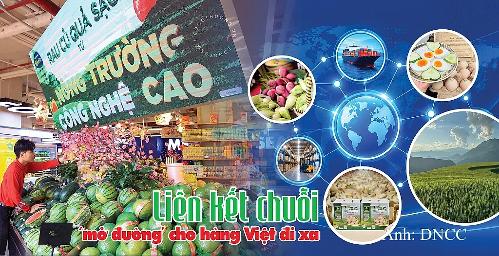 Longform | Liên kết chuỗi ‘mở đường’ cho hàng Việt đi xa