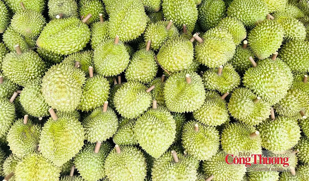 Xuất khẩu nông, lâm, thủy sản: Đà tăng từ rau quả, thủy sản
