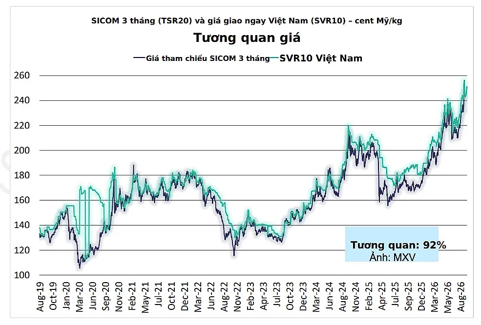 MXV - SGX tăng cường kết nối, mở cơ hội tiếp cận thị trường hàng hóa quốc tế