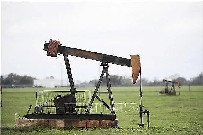 Giá dầu biến động, thị trường LNG và nhiên liệu tinh chế chịu sức ép