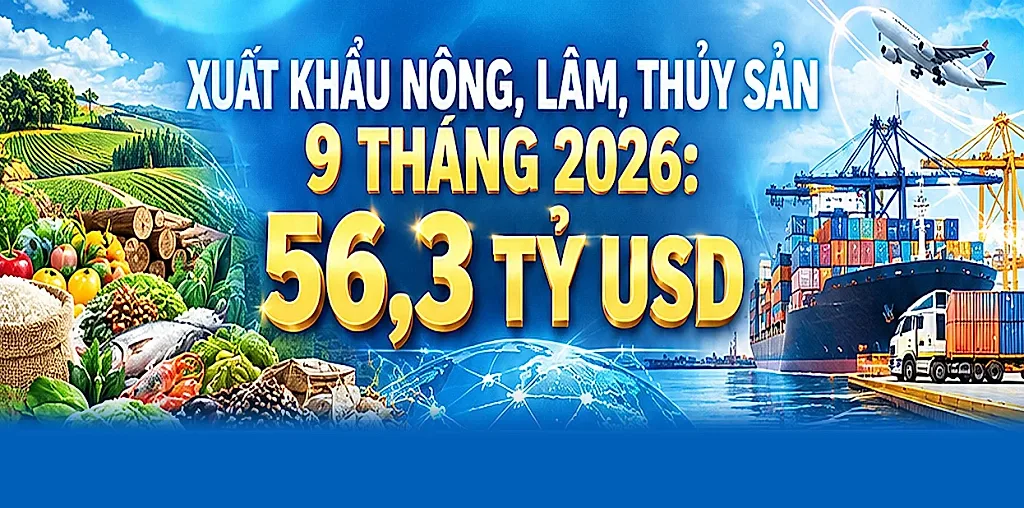 Infographic| Xuất khẩu nông, lâm, thủy sản 9 tháng 2026 ước đạt 56,3 tỷ USD