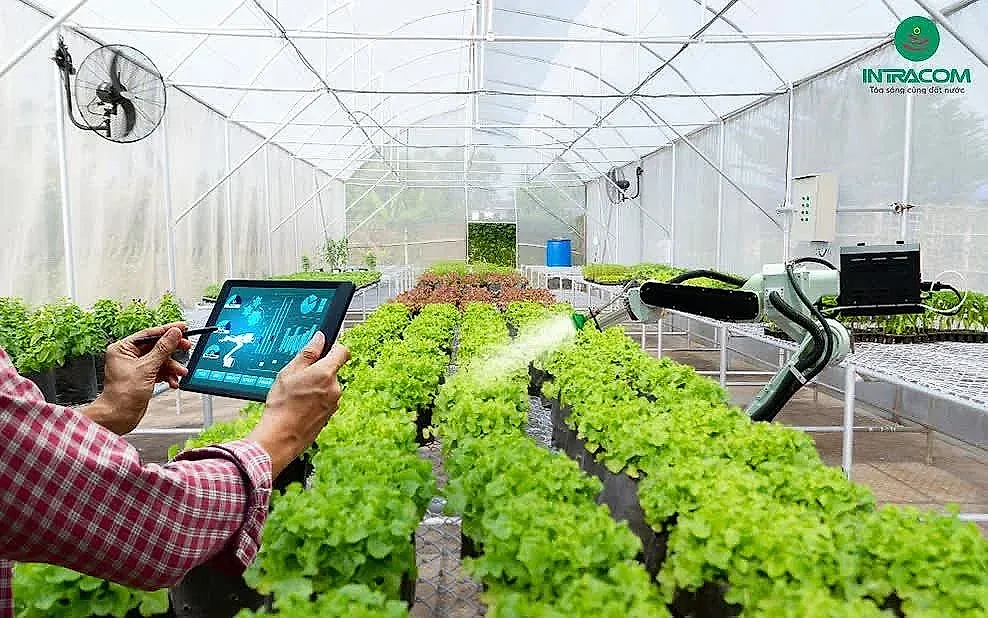 Nông nghiệp công nghệ cao: Bài toán không chỉ là đầu tư công nghệ