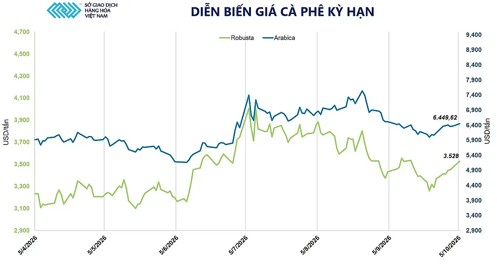 anh-5_-dien-bien-gia-ca-phe-ky-han.jpg