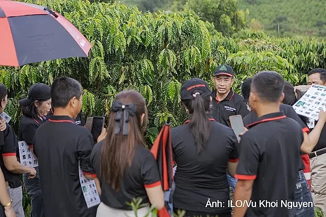 Từ học viên thành người ‘truyền lửa’: Hành trình đưa an toàn lao động về với các nông trại cà phê