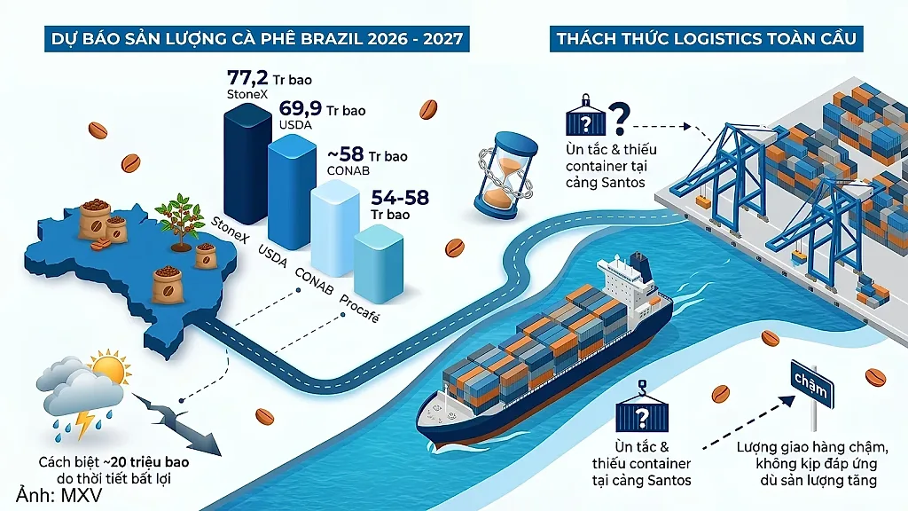 Khoảng lặng trước bước chuyển mình lịch sử của ngành cà phê toàn cầu