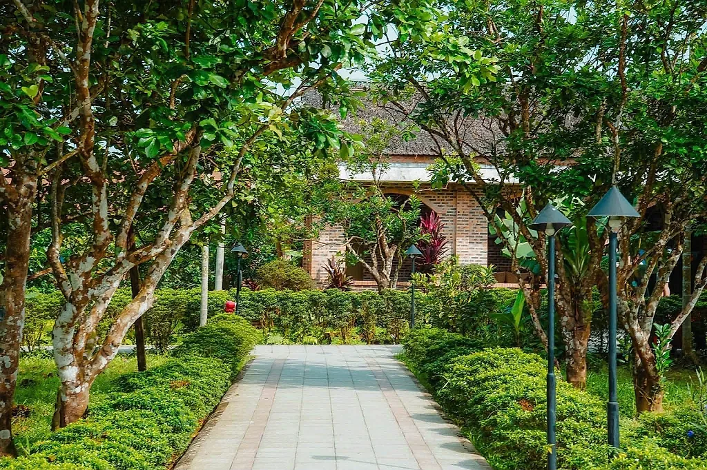 Thủy Biều – Ngôi làng xanh bên dòng Hương Giang