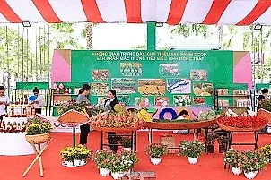 Từ đường chạy đến chuỗi giá trị kinh tế cho địa phương: Dấu ấn của VPBank Đất Sen Hồng Music Marathon