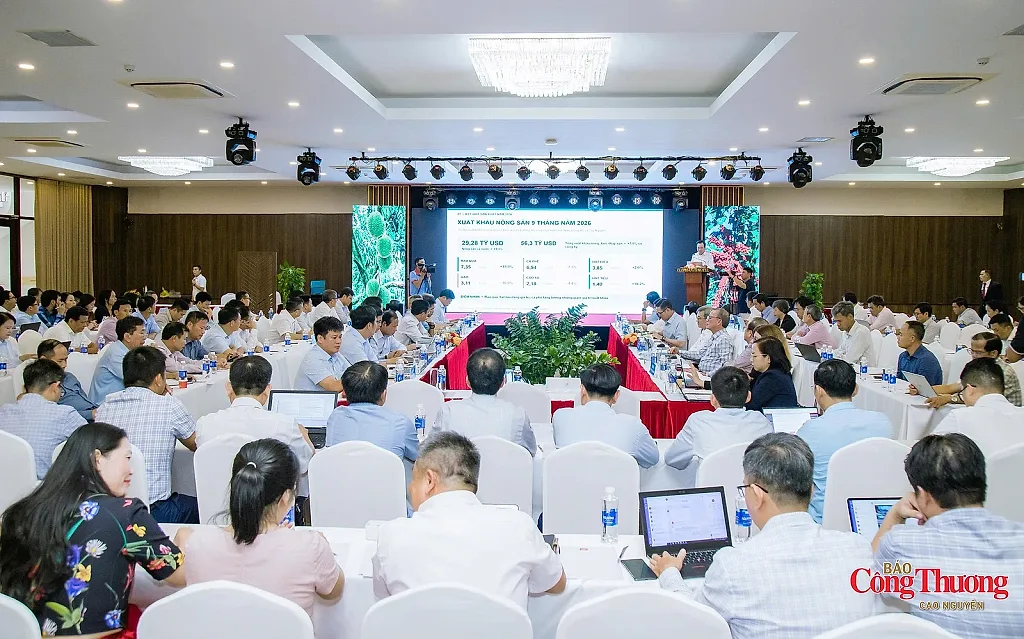 Chủ động ứng phó El Niño, triển khai sản xuất năm 2027