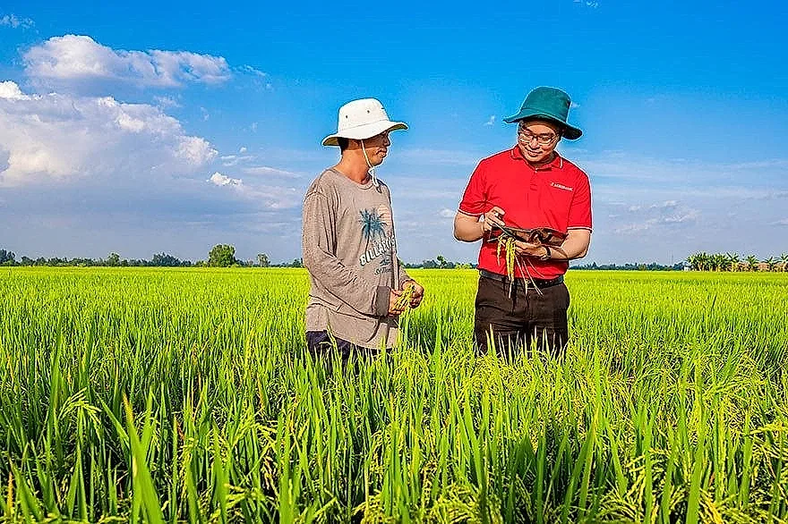 anh-4-agribank-la-ngan-hang-chu-luc-trong-de-an-phat-trien-1-trieu-hecta-chuyen-canh-lua-chat-luong-cao.jpg