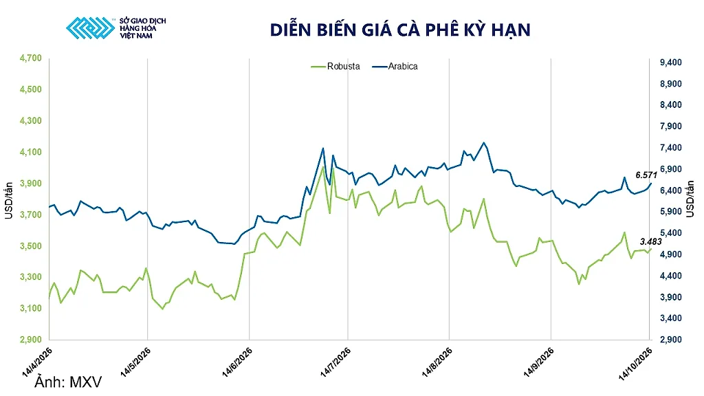 Giá cà phê tăng phiên thứ ba liên tiếp, bạc chạm đáy 10 tuần