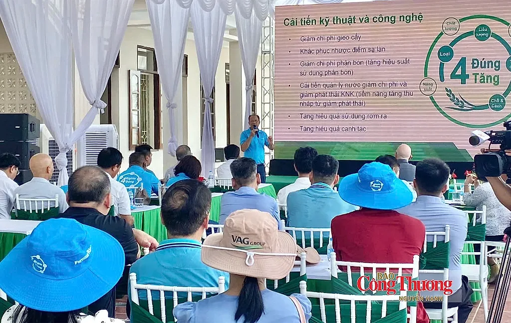 Mô hình lúa xanh tại Ninh Bình: Giảm chi phí, nâng giá trị hạt gạo