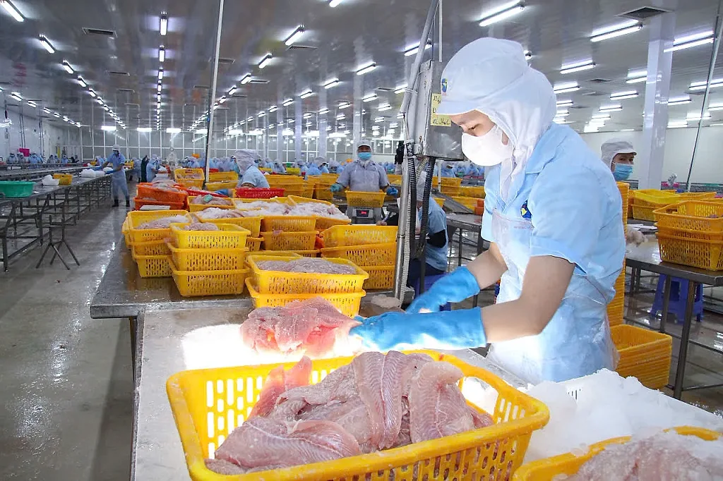 Tín dụng khơi thông tiềm năng nuôi biển công nghệ cao, mở đường cho kinh tế biển An Giang