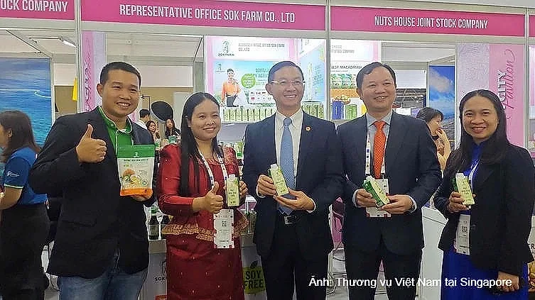 Kim ngạch thương mại Việt Nam - Singapore lập kỷ lục mới, tăng gần 50%