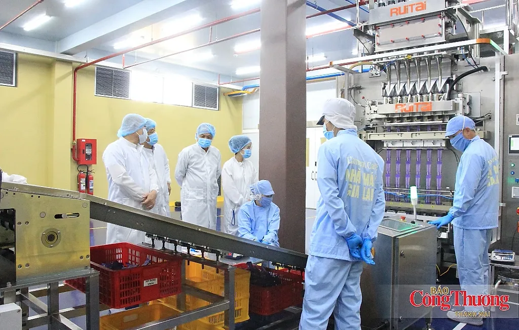 Gia Lai tập trung các giải pháp thúc đẩy tăng trưởng kinh tế quý IV/2026
