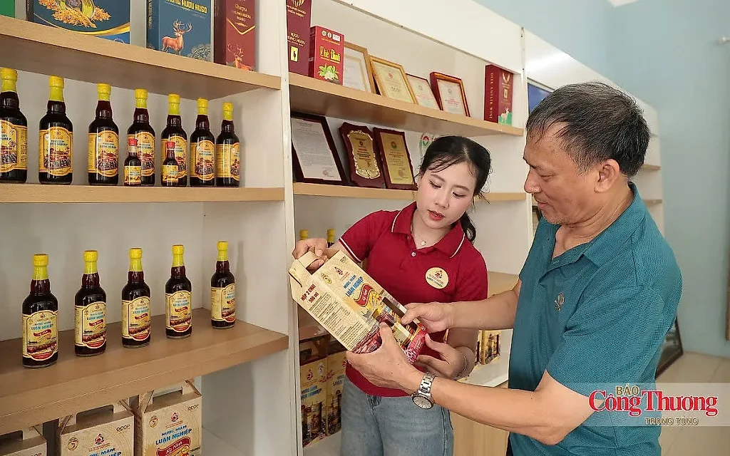 Hà Tĩnh sẵn sàng cho chương trình khuyến mại tập trung quốc gia năm 2026