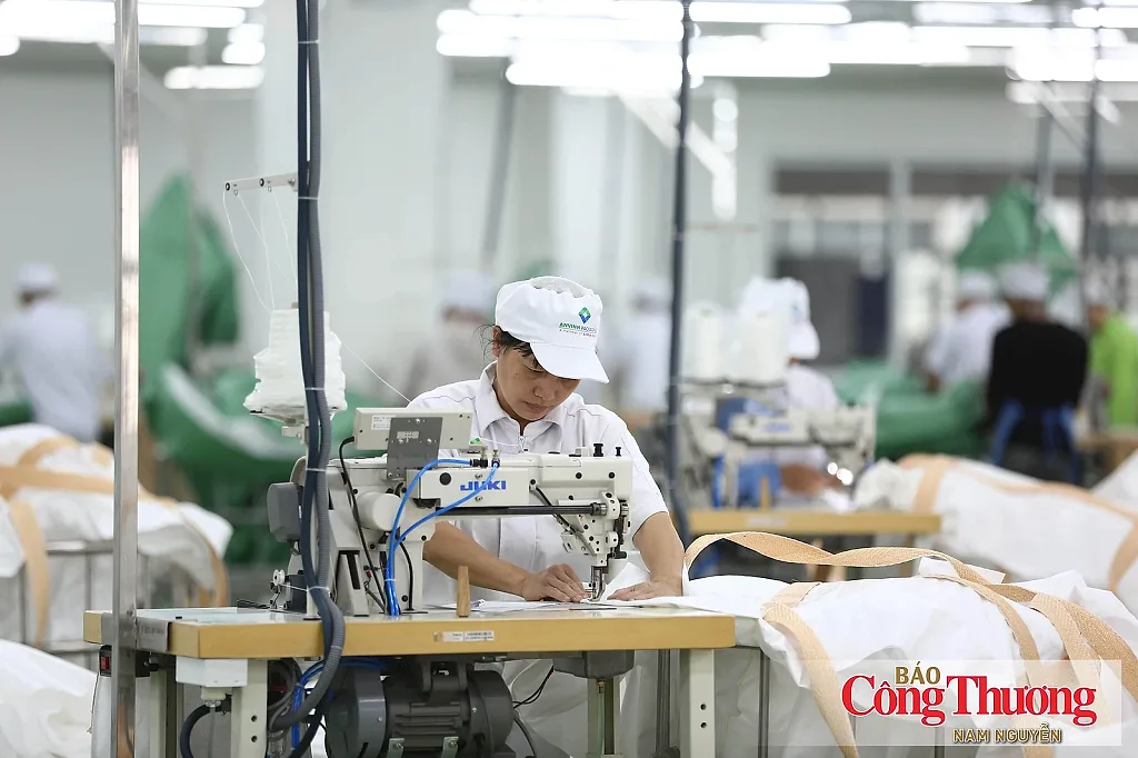 Xuất khẩu dệt may tăng trưởng nhưng chưa hết lo