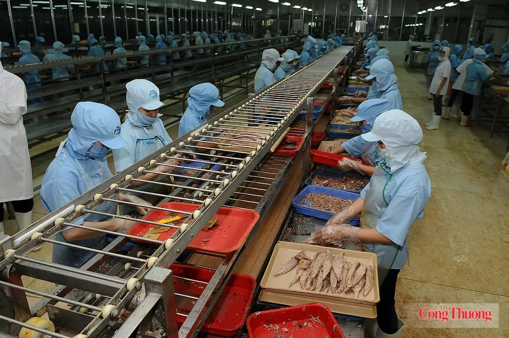 Cơ hội từ VIFTA: Thủy sản Việt sang Israel tăng mạnh