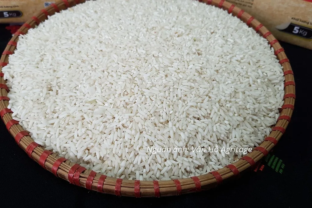 Nâng giá trị hạt gạo, mở dư địa cạnh tranh