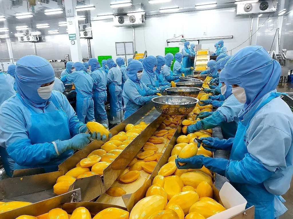 Ngân hàng khơi thông dòng vốn, tiếp sức động lực tăng trưởng hai tỉnh An Giang và Cà Mau