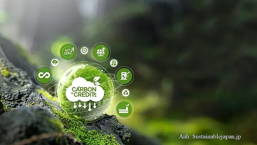 Quy định mới về đăng ký tài khoản tín chỉ carbon
