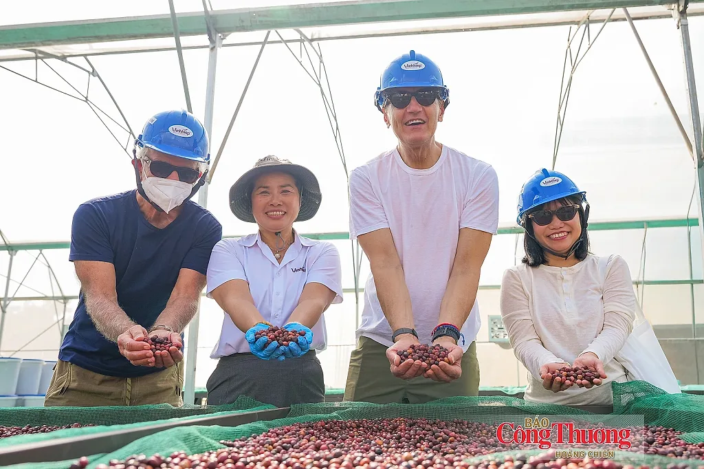 Giá cà phê hôm nay 27/10/2026: Đi ngang, dưới mốc 90.000 đồng/kg